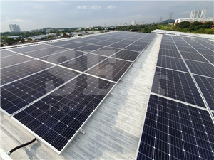 SEA Frozen Food going GREEN